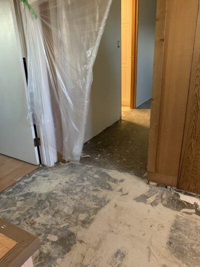 D97C7650-FAC0-4EBF-AC34-648E05ACAB7E