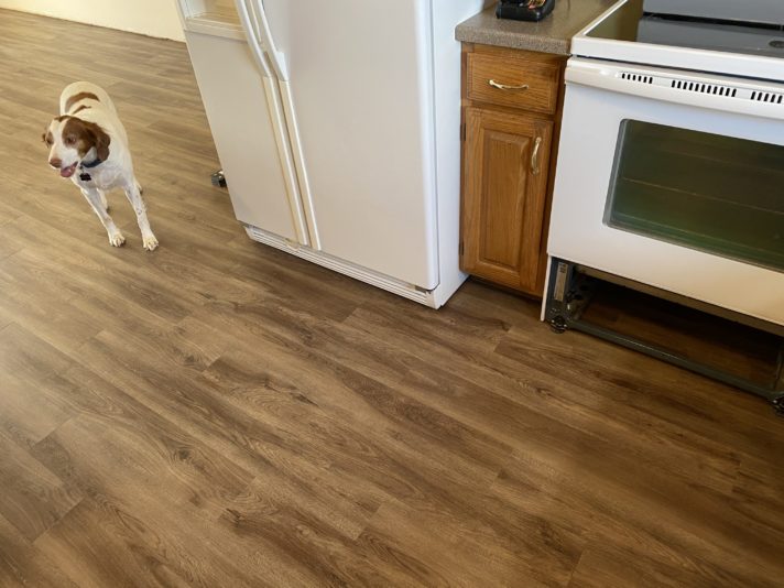 89E30BF0-16EE-48AD-9116-3E23D01D9394