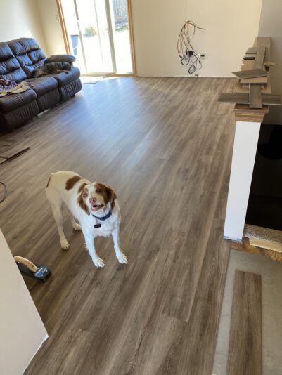 B1738081-1E70-493D-A982-D4E2CEBC0969