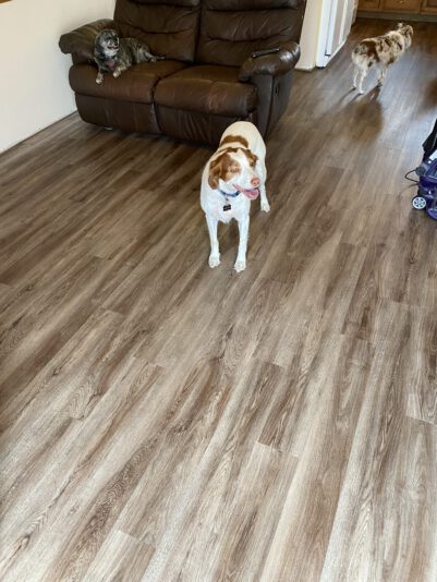 5085DEEB-B864-42FB-ADC7-578740A3BB0C