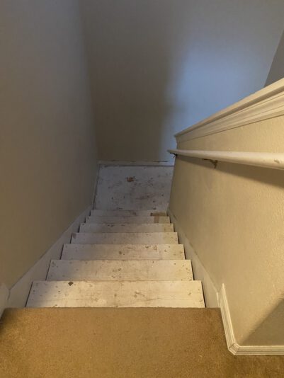 E1D0A959-B419-456C-B553-1089A20B3989