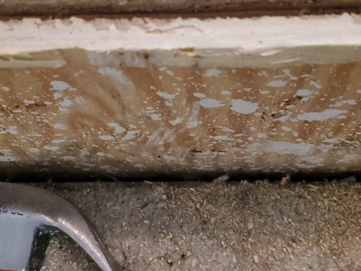 16200523739714904559193778464514