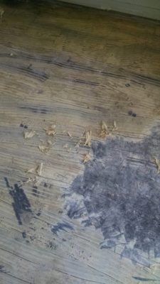 IMG_20210221_134448598