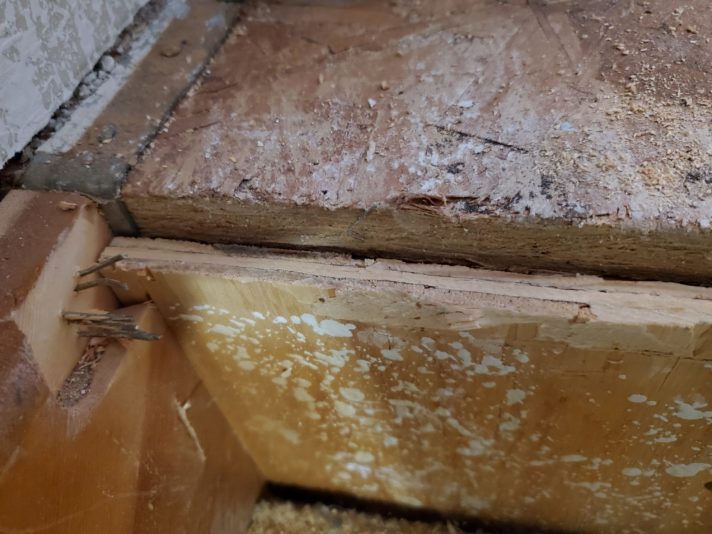 16200523387343330189250652838770