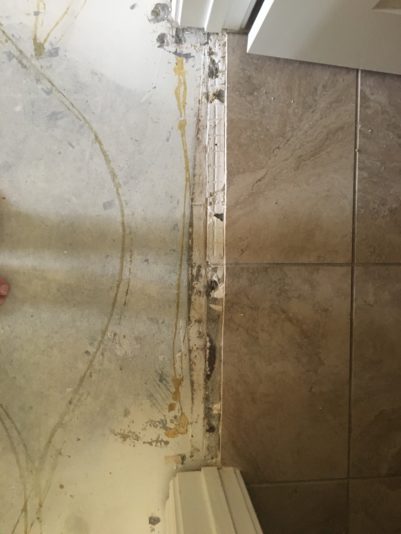 trans to bathroom in hall